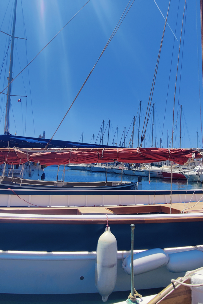 Archipel du Frioul _ Nature Sauvage et Beauté Méditerranéenne (3)