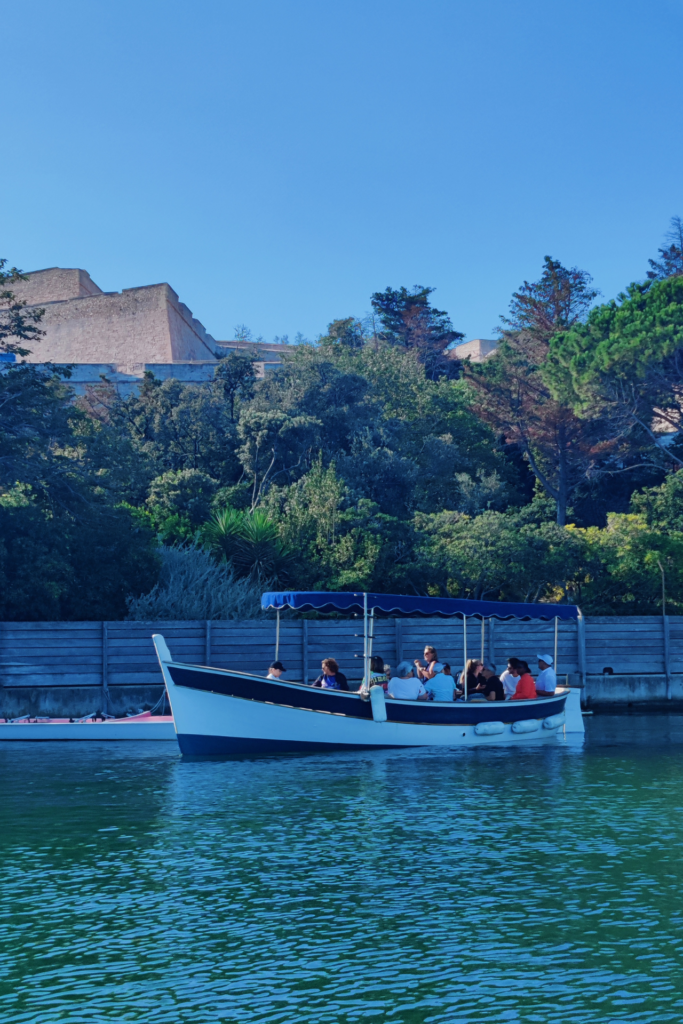 Le Vieux-Port de Marseille _ Le Cœur Battant de la Ville (2)